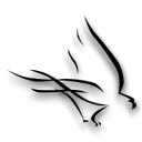 AquilaX