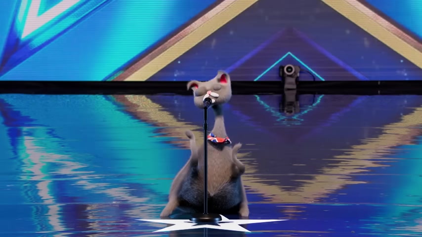 “英国达人秀”中的Noodle the Cat:唱歌新星的AI未来趋势揭秘