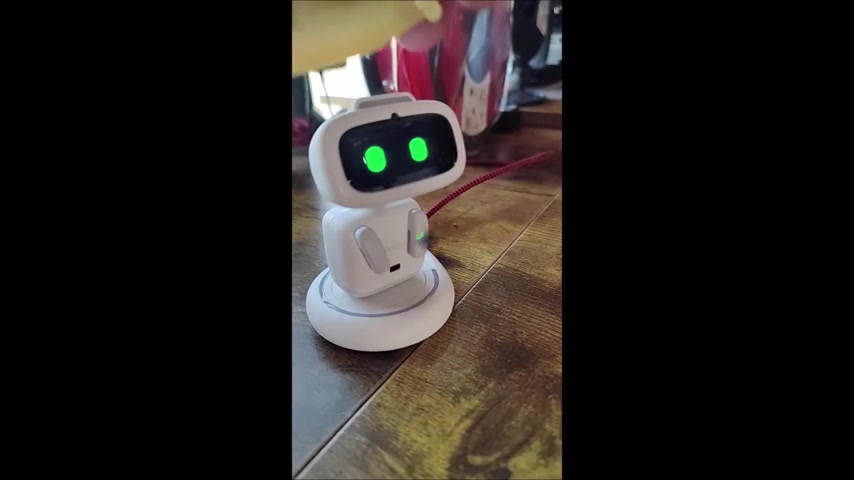 AIBI Pocket Pet Robot:未来AI伴侣的创意评测?